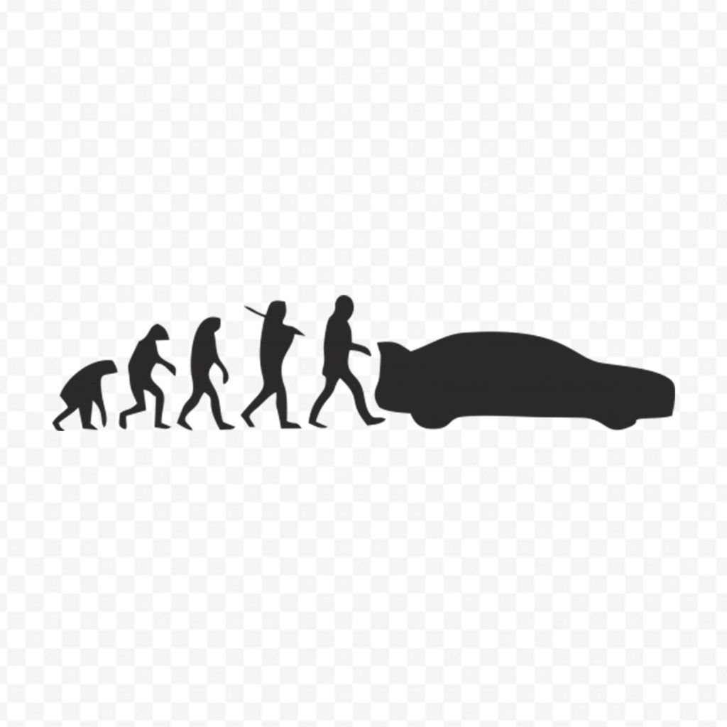 Evolution
