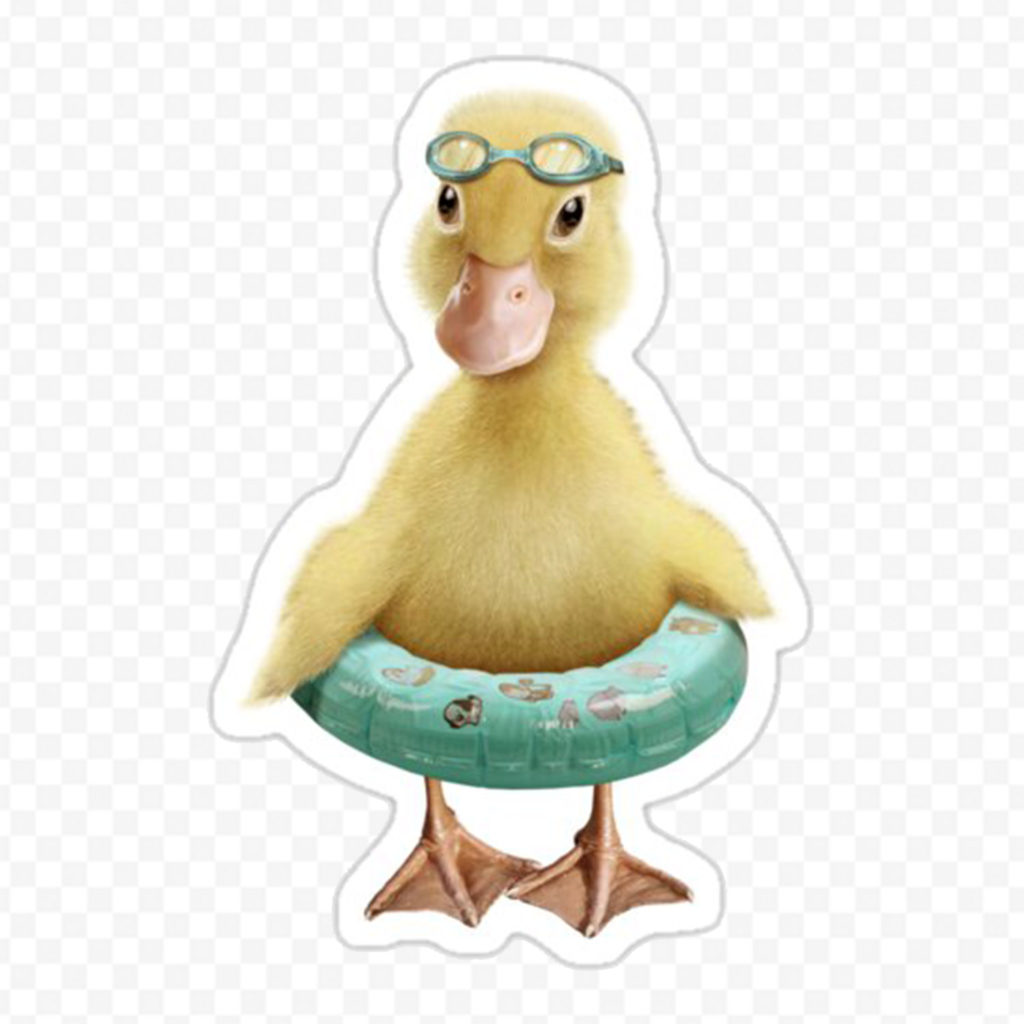 Canard Et Boue