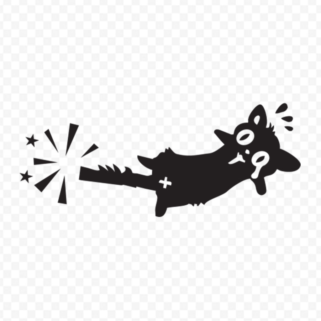 Chat Amoche 1