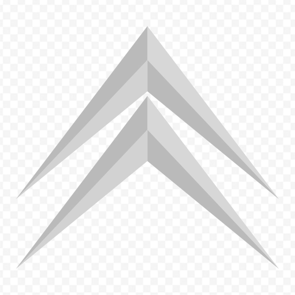 Chevron Citroen Gris