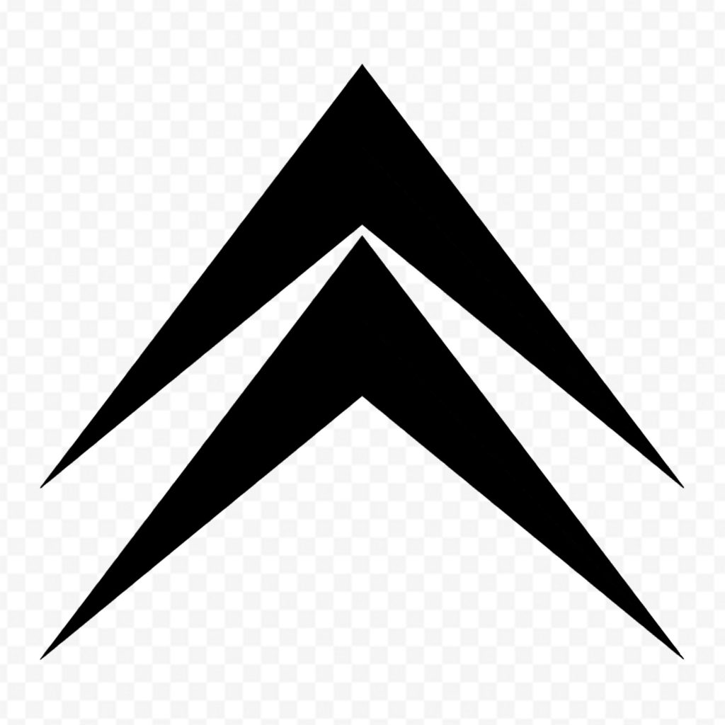 Citroen Logo Noir