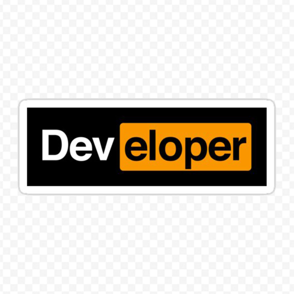 Developer