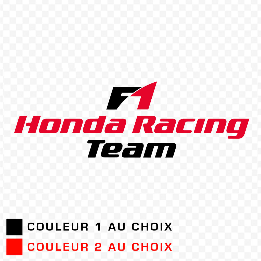 F1 Racing Team