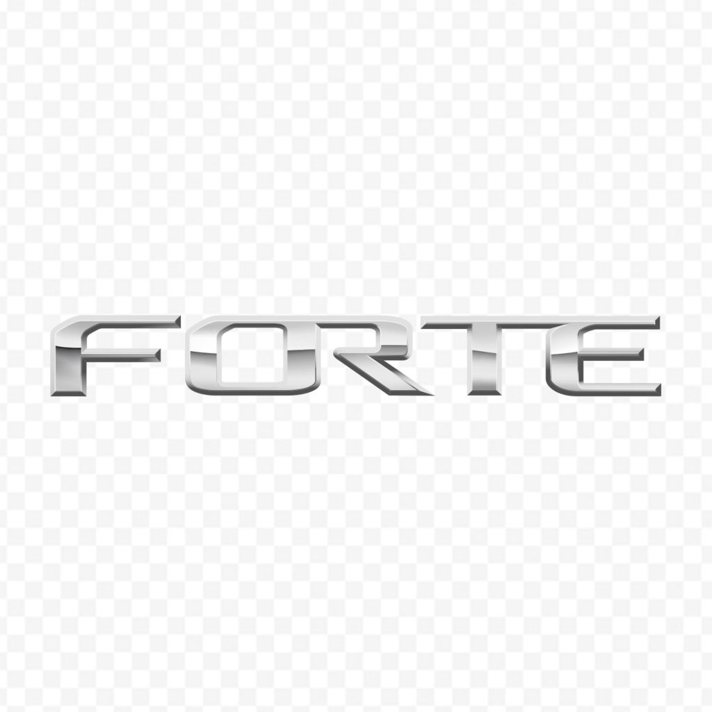 Forte Relief