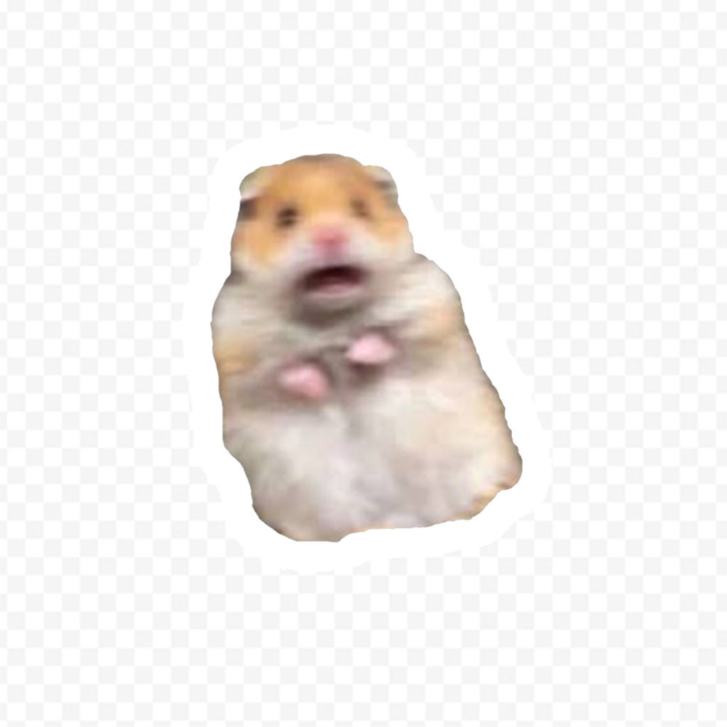 Hamster