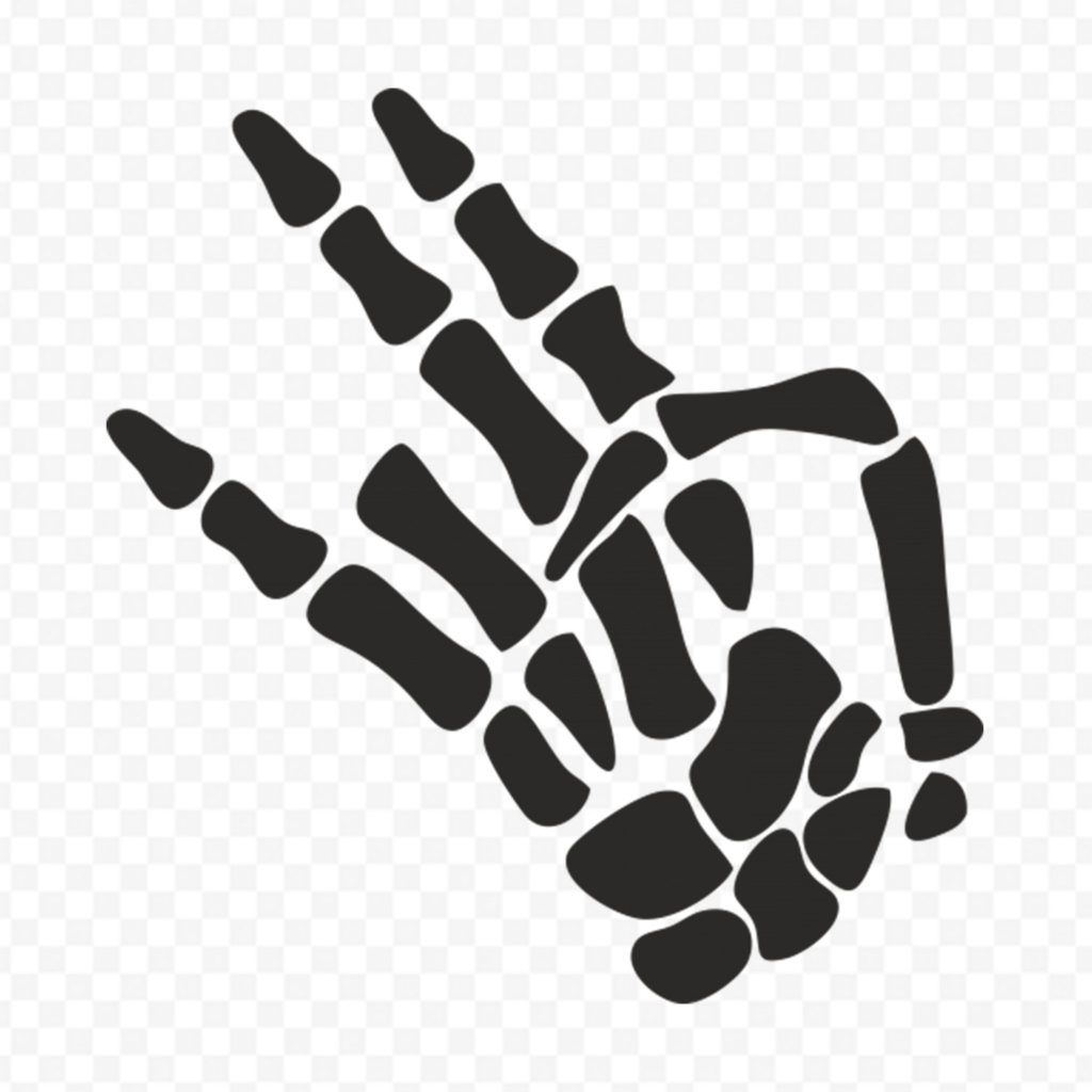 Hand Jdm Squelette
