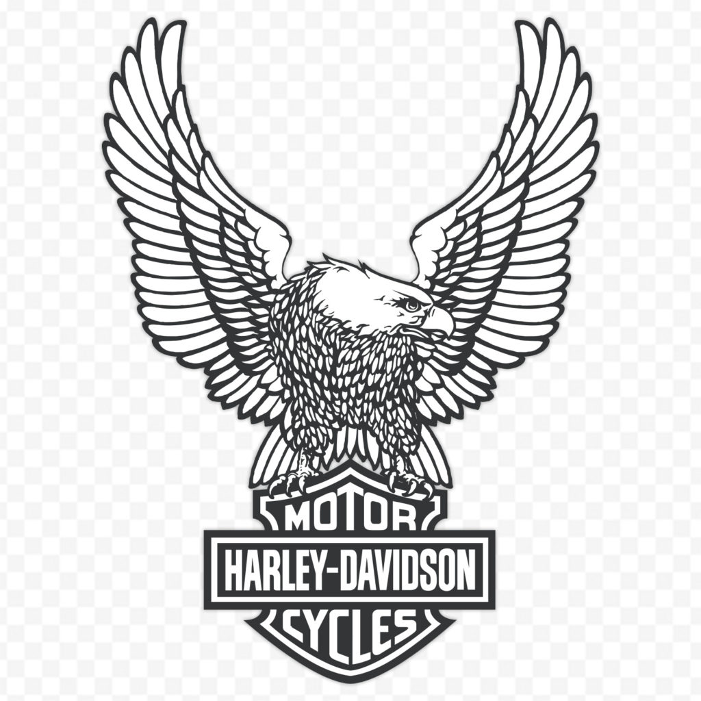 Harley Aigle