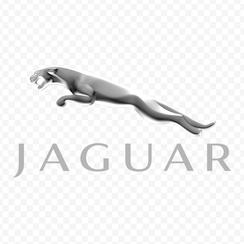 Jaguar Relief