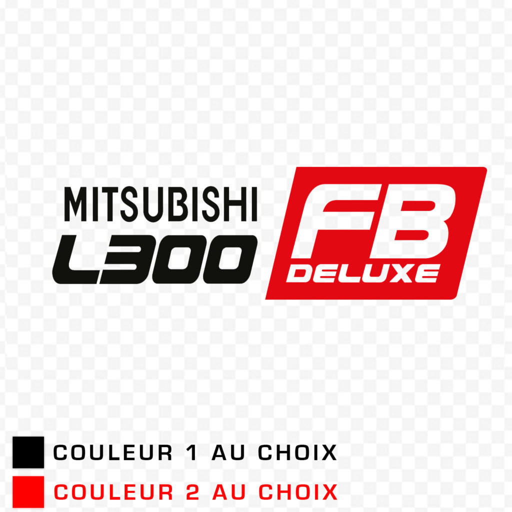 L300