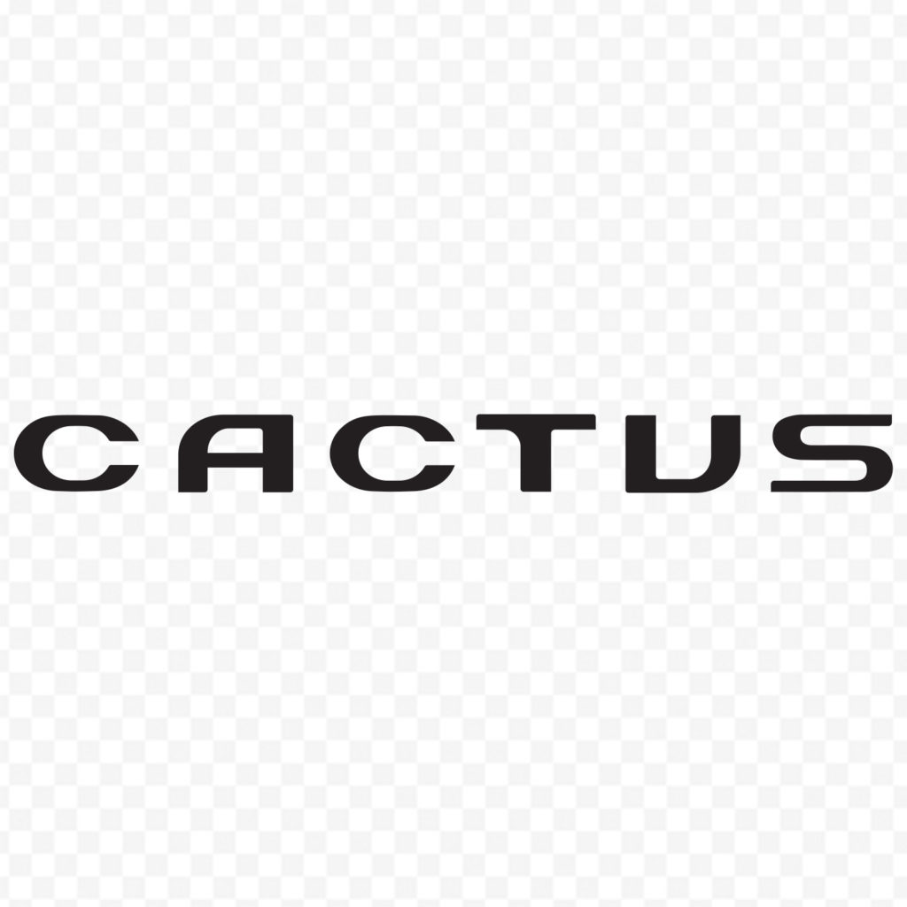 Logo Cactus