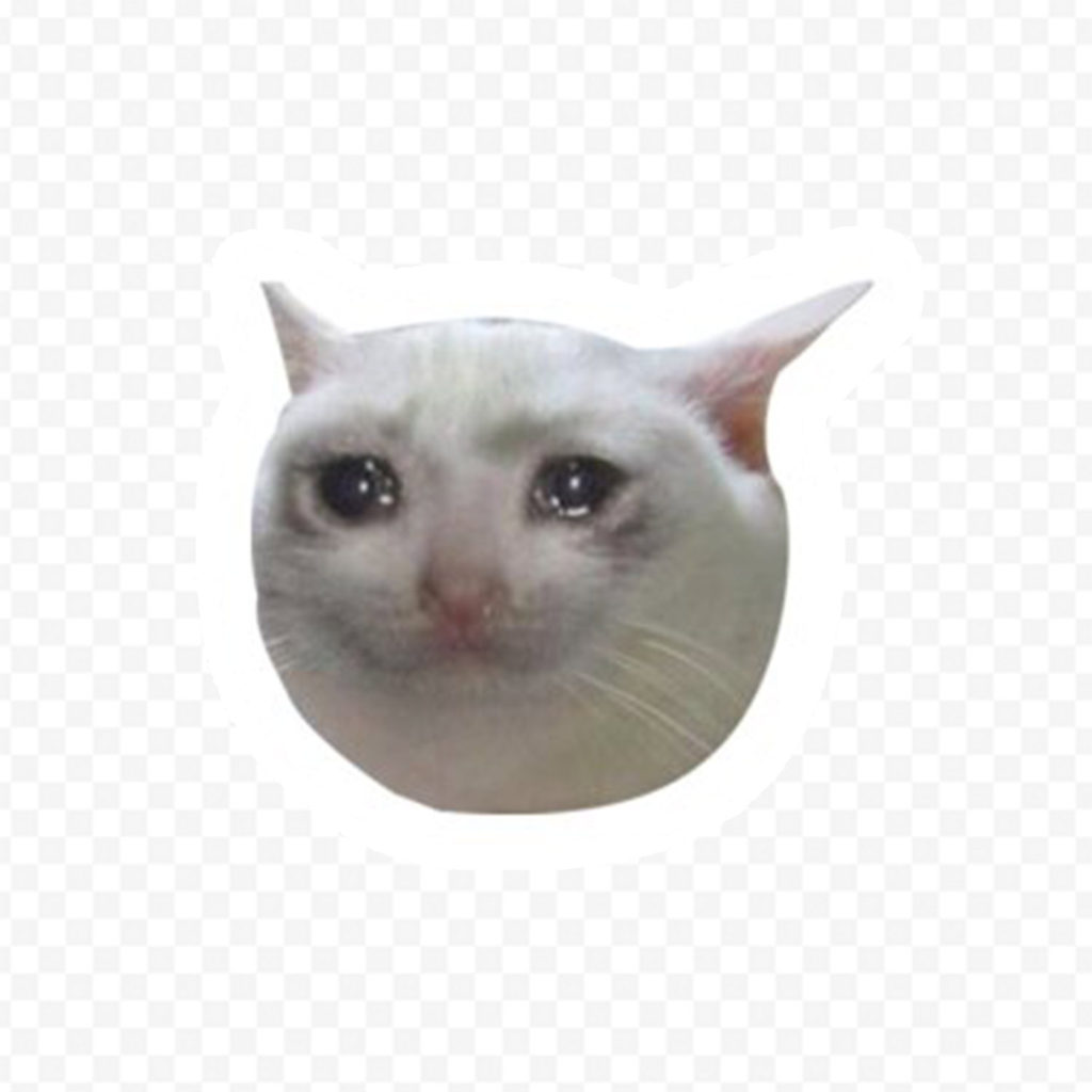 Meme Chat 3