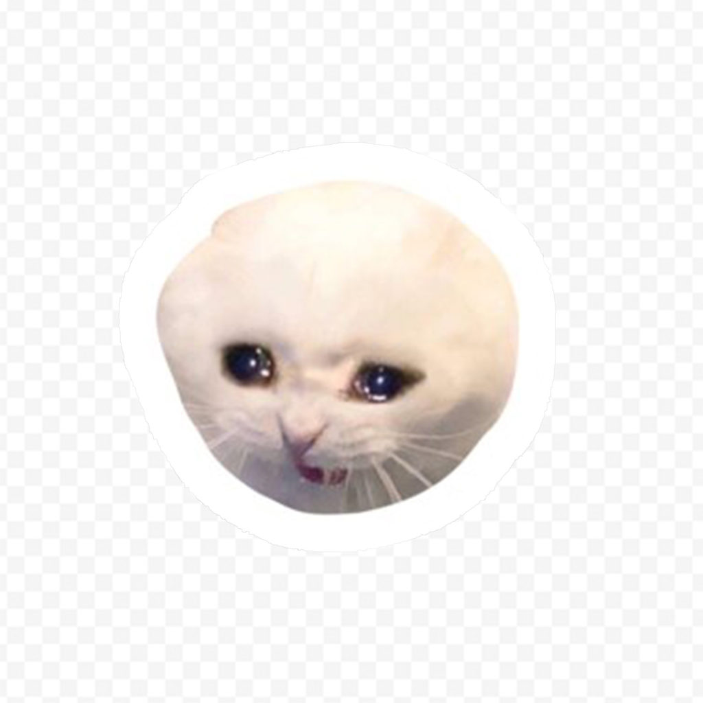 Meme Chat 4