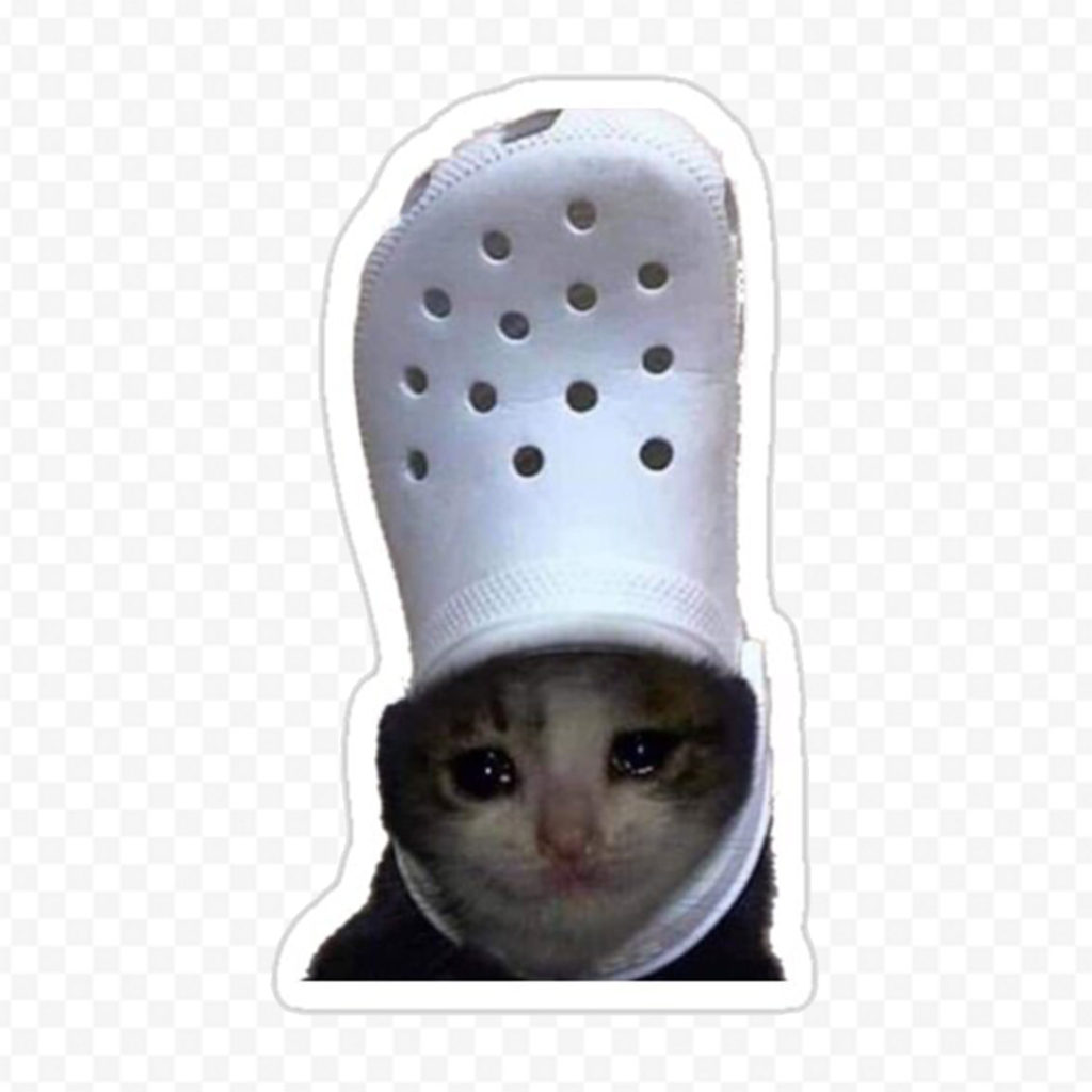 Meme Chat 5