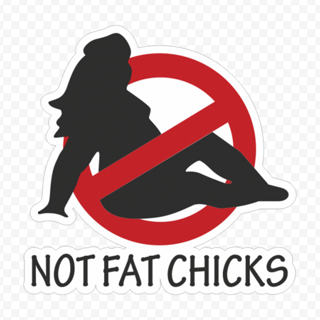 Not Fat Chicks