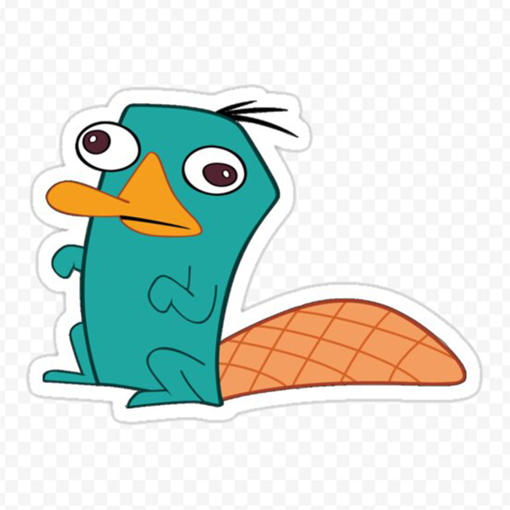 Perry L Ornithorynque