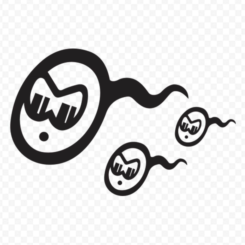 Spermatozoides