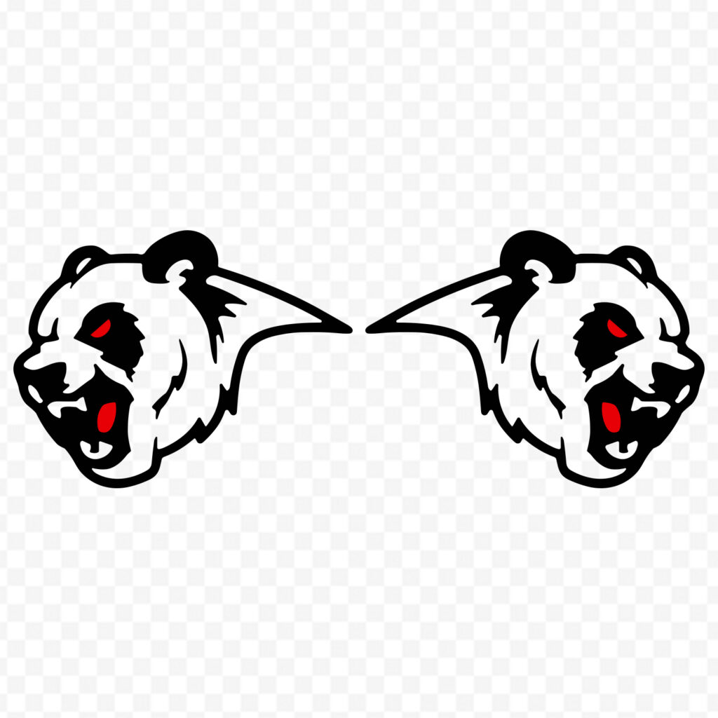 Angry Panda